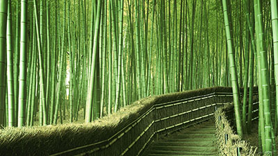 бамбуковое волокно
